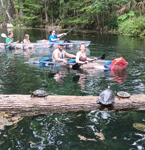 Silver Springs: Manatees and Monkeys Clear Kayak Guided Tour