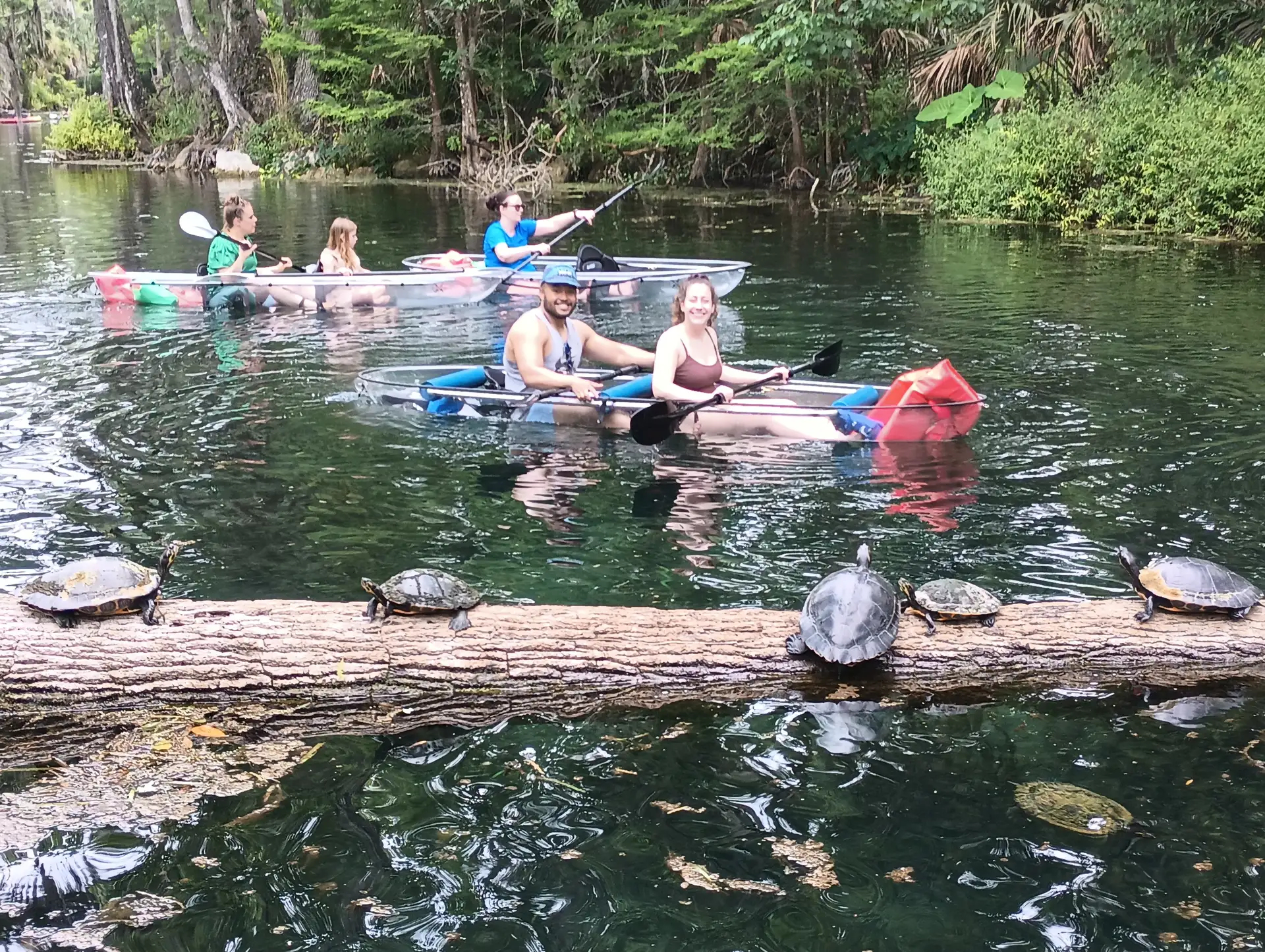 Silver Springs: Manatees and Monkeys Clear Kayak Guided Tour